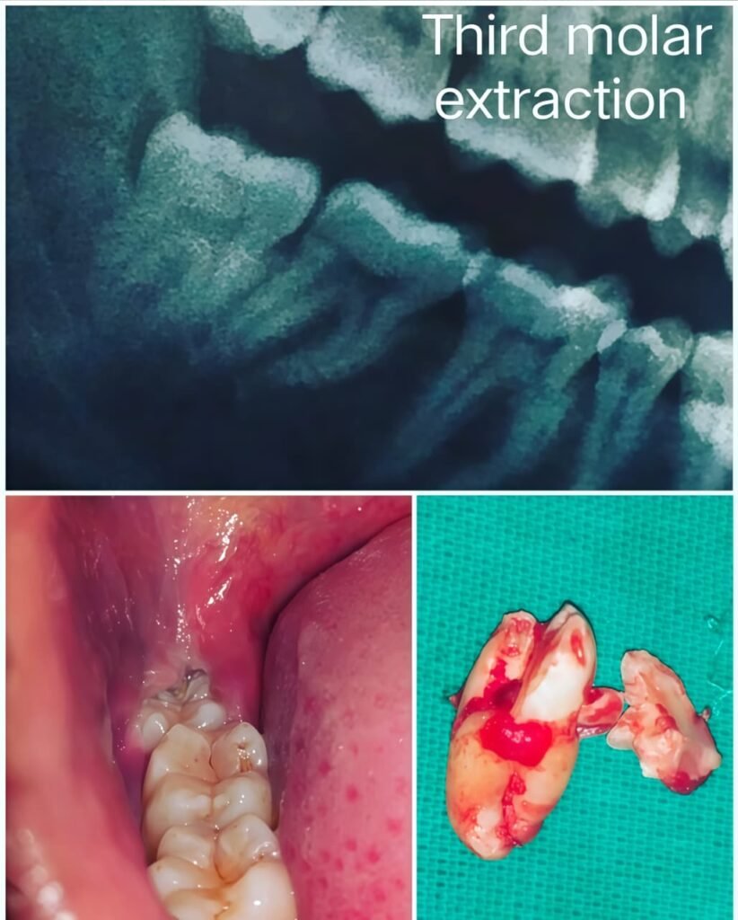 WhatsApp Image 2026-01-05 at 6.09.05 PM