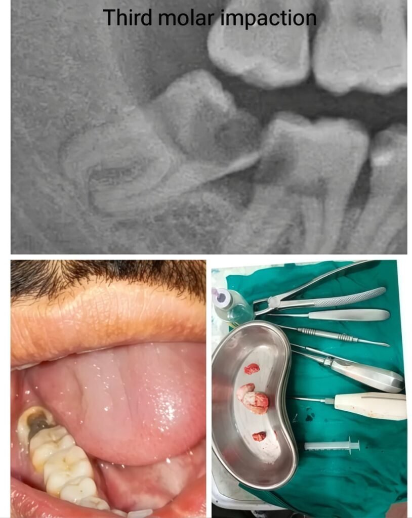 WhatsApp Image 2026-01-05 at 6.14.39 PM